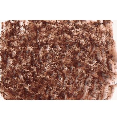 Tetra FreshDelica Bloodworms