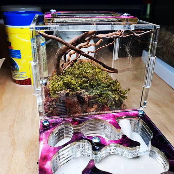 Декорации АнтСкейп для муравьиных ферм