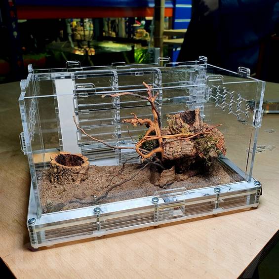 Декорации АнтСкейп для муравьиных ферм