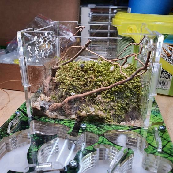 Декорации АнтСкейп для муравьиных ферм