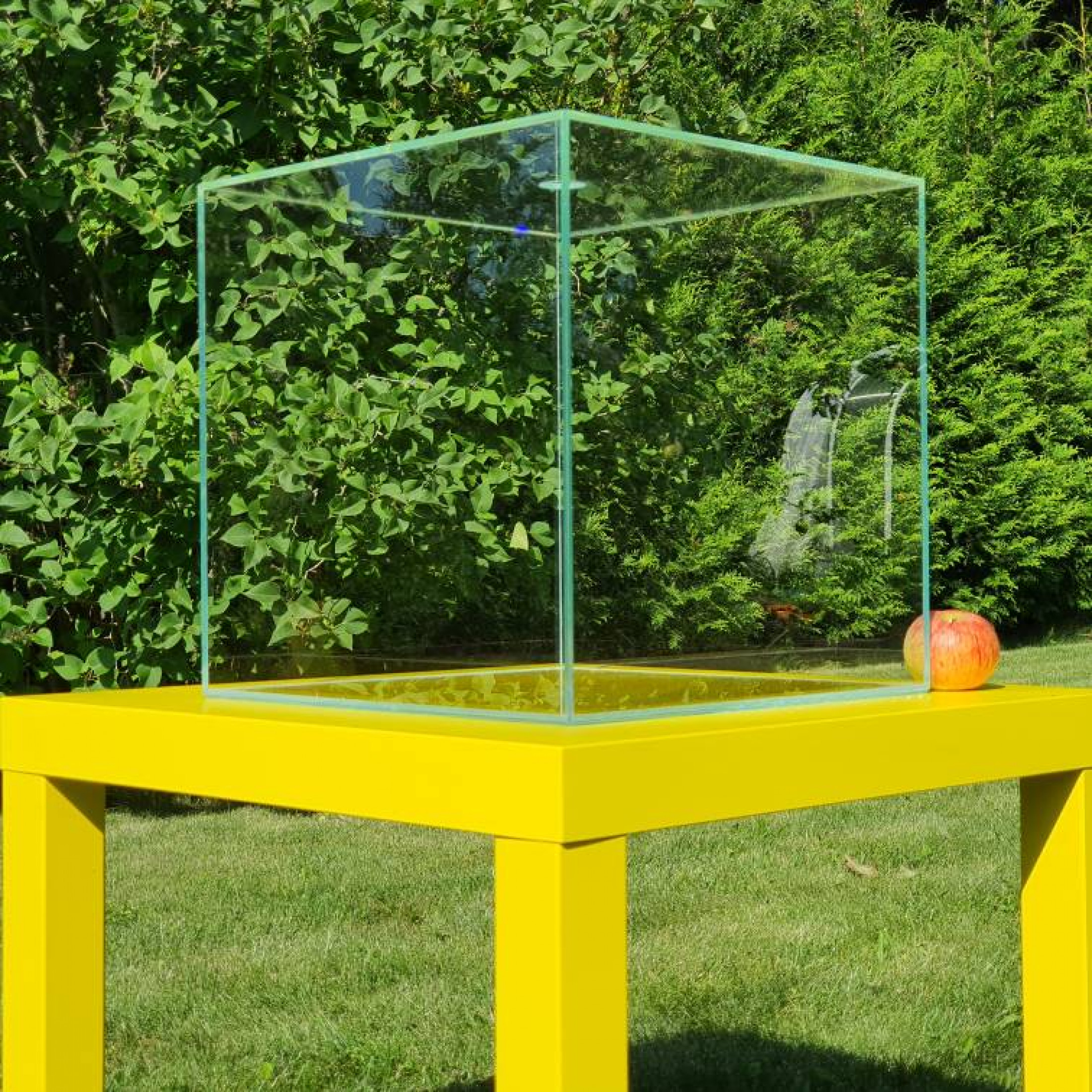 Аквариум Biohobby "Pervach"